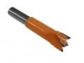 23 mm ELMAS AHŞAP DELME UCU