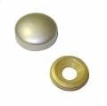 20 mm SATEN VİDA KAPAĞI 20 Adet